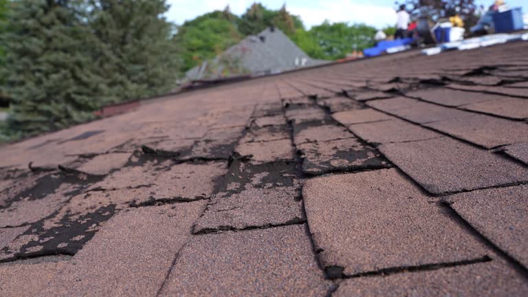 Best Slate Roofing  in Clear Lake, SD