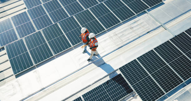 Best Roof Moss and Algae Removal  in Clear Lake, SD